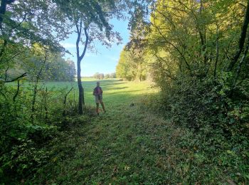 Randonnée Marche Vouthon-Haut - reco vers la Cumine - Photo