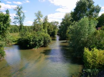 Randonnée Marche Reignac-sur-Indre - Reignac-sur-Indre - Azay-sur-Indre - 16.1km 145m 3h25 - 2020 06 22 - Photo