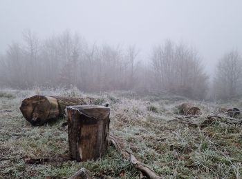 Excursión Senderismo Septvaux - parcours prêt de septvaux  - Photo