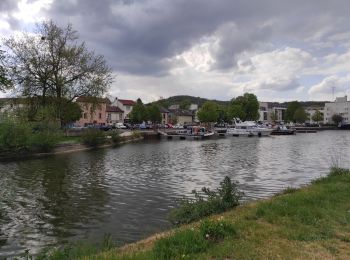 Tocht Stappen Nancy - Nancy - parc de Haye -Frouard - Nancy - Photo