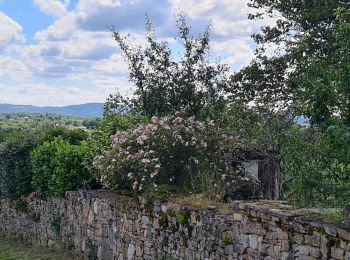 Tocht Stappen Jourgnac - jourgnac - Photo