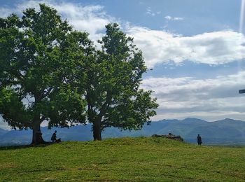 Randonnée Marche Escou - Croix d'Escout - Photo