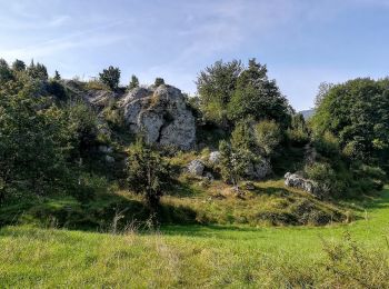 Percorso A piedi Berkatal - Rundweg Großer Marstein und Hielöcher - Photo