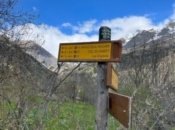 Trail Walking Vaujany - 1 er Sabot 2023 de la neige et des fleurs  - Photo