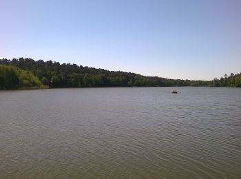 Randonnée A pied Schenkendöbern - Rund um den Göhlensee - Photo