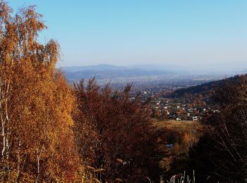 Tocht Te voet  - Wokół Centrum - Photo