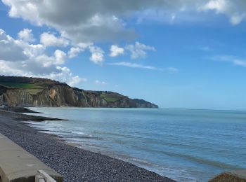 Randonnée Marche Dieppe - GR21 :  De Dieppe à Pourville-Sur-Mer - Photo