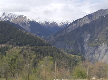 Tocht Stappen Albiez-Montrond - LE CRET DE LA COCHETTE  - Photo