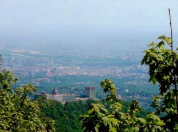 Randonnée A pied Zagreb - Planinarska staza Medvednica 41 - Photo