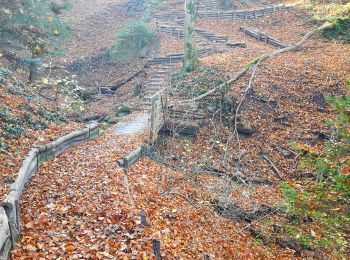 Tour Zu Fuß Bergdietikon - Baltenschwil - Hasenberg - Photo