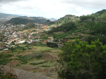 Tour Zu Fuß Tegueste - SL-TG 03 Las Canteras-Las Toscas - Photo