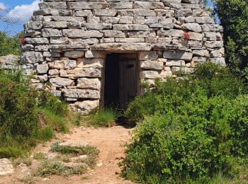 Trail Walking Éguilles - eguilles les bories - Photo