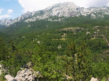 Tour Zu Fuß  - Dom u Velikoj Paklenici - Krajni brig - Photo