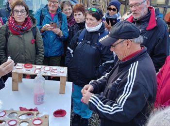 Trail Walking Clef-Vallée-d'Eure - rando ot gaillon du 14 nov 2019  - Photo