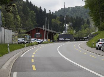 Trail On foot Horgen - Stn. Sihlbrugg Station - Tannboden - Photo