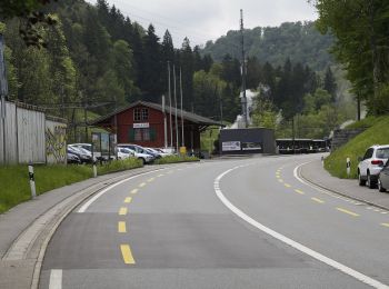 Tocht Te voet Horgen - Stn. Sihlbrugg Station - Tannboden - Photo