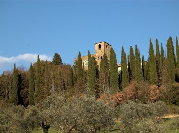 Tocht Te voet Perugia - La Bruna-Montelabate-Casacce - Photo