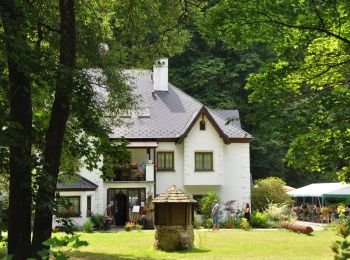 Percorso A piedi Nové Hrady - NS Terčino údolí - Photo