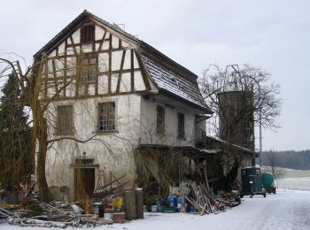 Randonnée A pied Lindau - Bläsihof - Winterthur - Photo