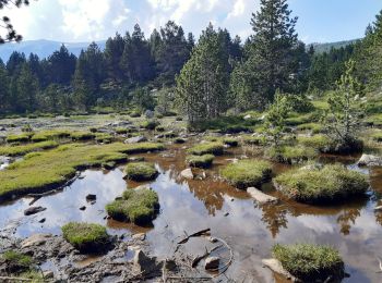 Randonnée Marche Les Angles - balade des 12 lacs  depuis le lac de bouilloires  - Photo