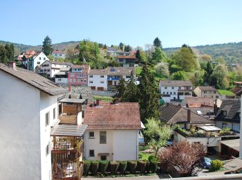 Excursión A pie Desconocido - Rundwanderweg Ziegelhausen 2: Rund um Ziegelhausen - Photo