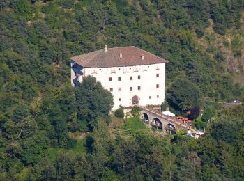 Trail On foot Tisens - Tesimo - Wanderweg 4B - Photo