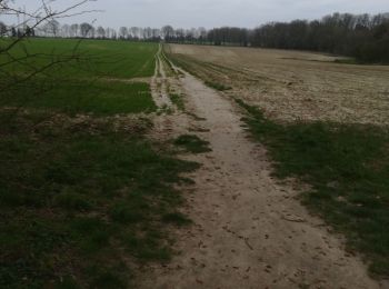 Tocht Stappen Eigenbrakel - fransael3 - Photo