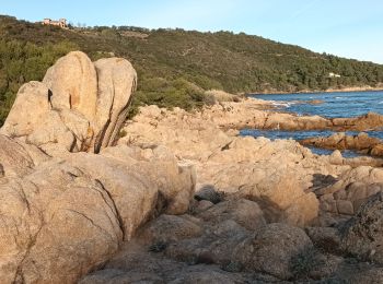 Randonnée Marche Ramatuelle - cap Camarat-golfe St Tropez-03-12-21 - Photo