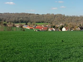 Trail Walking Crécy-la-Chapelle - Crécy,04 - Photo