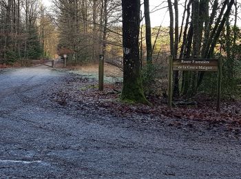 Tocht Noords wandelen Mont-Saint-Jean - Fr Le Jouteau 04-01-2020 - Photo