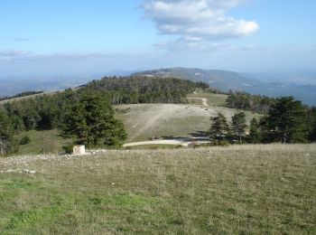 Excursión Bici de montaña Cucuron - Moure Nègre - Photo