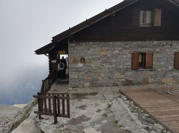 Trail On foot Macugnaga - (SI E51N) Rifugio Oberto - Bivacco Cingino - Photo