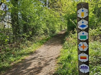 Tocht Stappen Borgloon - 🌸 Borgloon 🌼 Groot-Loon 🌺 - Photo