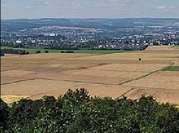 Percorso A piedi Limburg a. d. Lahn - Südroute Limburg - Photo