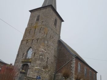 Trail Walking Sombreffe - Tongrinne 130225 - Photo