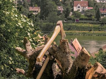 Randonnée A pied Hirschhorn - Rundwanderweg Hirschhorn 7: Brombach-Weg - Photo