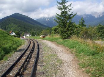 Tour Zu Fuß Gemeinde Puchberg am Schneeberg - Puchberg Laufstrecke 3 - Photo