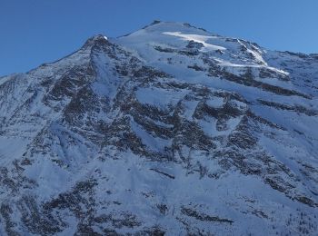 Trail Touring skiing Bessans - Ouille Allegra  - Photo