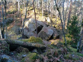 Tocht Stappen Fontainebleau - viennes carosses - Photo