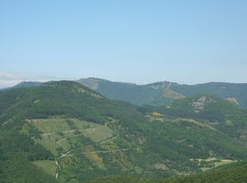 Trail On foot Peux-et-Couffouleux - Le sommet du Merdélou par Saint-Méen - Photo