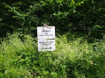 Tocht Stappen Storckensohn - Urbes - Gazon vert - Photo