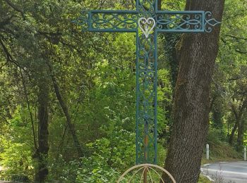 Randonnée Marche Méounes-lès-Montrieux - Autour de la chapelle de Montrieux - Photo