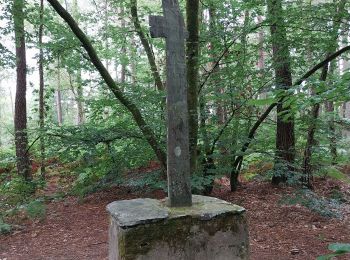 Percorso Marcia Le Gâvre - forêt du Gavre - Photo