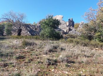 Tocht Mountainbike Mormoiron - Tour du grand Adrenier Nesque - Photo