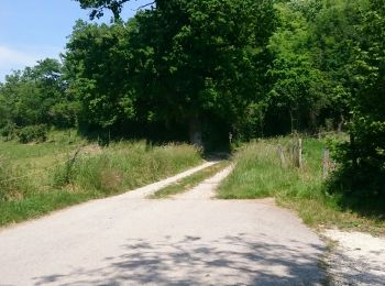 Tour Wandern Hauteville-sur-Fier - circuit des onges  - Photo