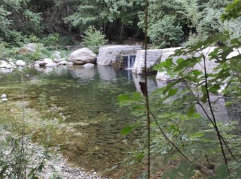 Randonnée Marche Amélie-les-Bains-Palalda - AMELIE STA ENGRACIA - Photo