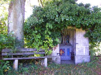 Tocht Te voet Pottenstein - Rundweg Haselbrunn - Photo