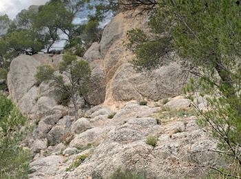 Excursión Senderismo Le Tholonet - Le tolonet - Photo