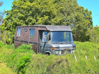 Trail On foot  - Te Araroa - alternative Mangatawhiri to Mercer - Photo