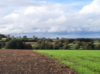 Tour Wandern Sains-du-Nord - Sains du Nord - Photo